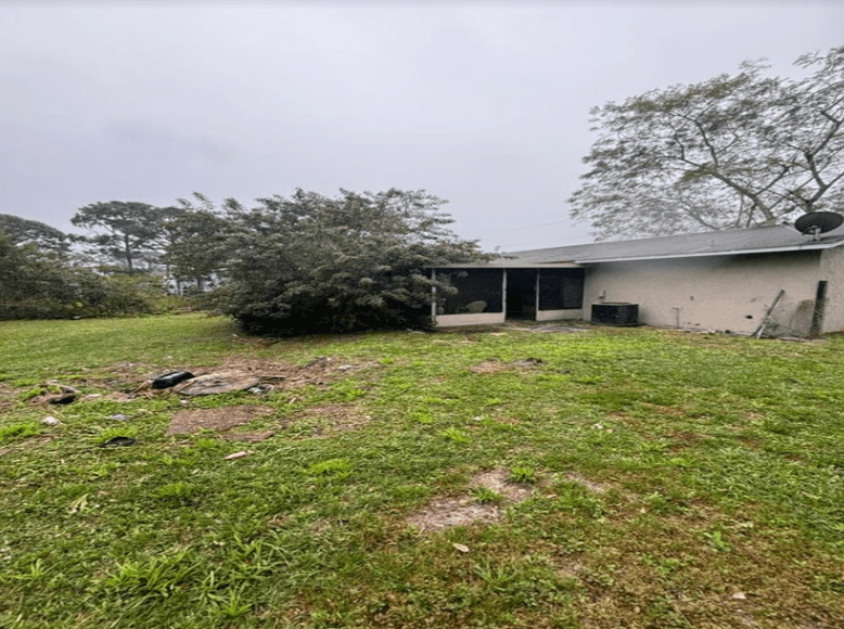 Backyard Before Image